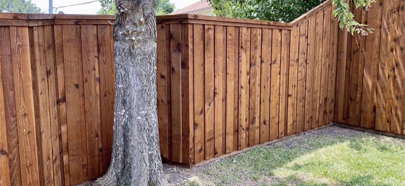 Cedar Privacy Fence in Keller